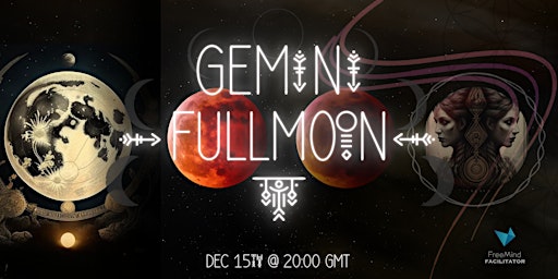 Gemini - Full Moon Medicine primary image