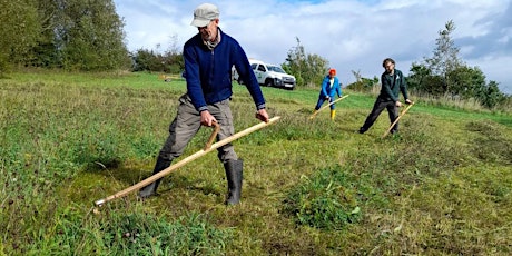 Learn to Scythe - Yorkshire Dales