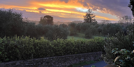 Primaire afbeelding van PREREGISTRATION ONLY: San Ginese Artist Residency in Tuscany Aug 11-17 2024