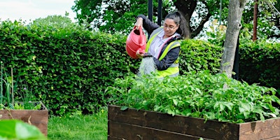 Hauptbild für Rowheath Community Garden - Fridays