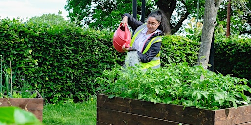 Rowheath Community Garden - Fridays primary image