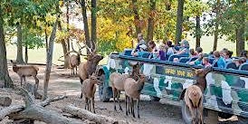 Girls Play Off-Road's Family Day at Lake Tobias Wildlife Park primary image