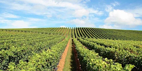 Wine Tasting Event - Rhone Valley to Waiheke Island & Matakana to Bordeaux primary image