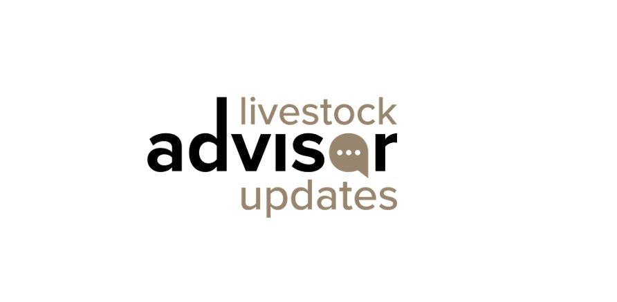 Livestock Advisor Updates - Southern