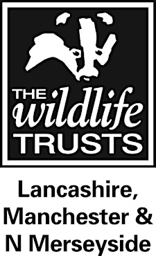 Organiser profile image