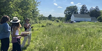 Farm. Local Food. Hike primary image