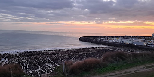 Imagem principal do evento Coastal Foraging Workshop - Brighton - Sea Vegetables Sea Weed. Sunset Walk