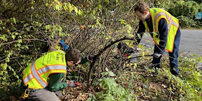 Imagem principal de Vegetation Trimming Near Old Stone Bridge at Northdown Road