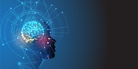 Computational Modelling & Machine Learning Studies of the Brain & Behaviour primary image
