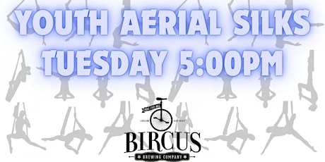 Youth Silks Class at Bircus Brewing Co.