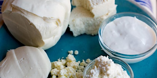 Cheesemaking - Mexican Cheeses - Queso Fresco, Oaxaca & Cotija primary image