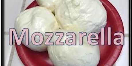 MOZZARELLA & Burrata