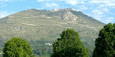 Hauptbild für MONTE CASSINO 80th ANNIVERSAY