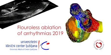 Fluoroless Ablation of Arrhythmias Workshop 2019 primary image