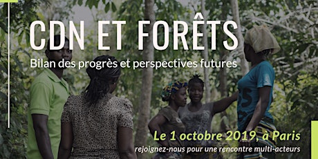 CDN et forêts : bilan des progrès et perspectives futures