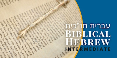 Imagen principal de Intermediate Biblical Hebrew Level 2
