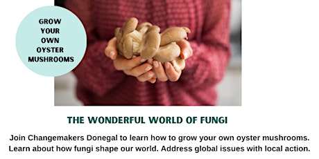 The Wonderful World of Fungi with ChangeMakers Donegal primary image