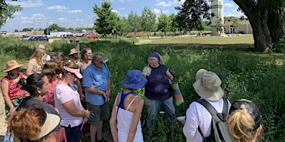 Imagem principal do evento Field Botany for Herbalists & Foragers with Linda Conroy