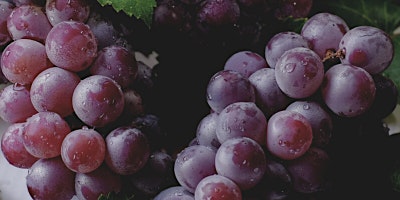 Imagen principal de Blind  Wines From Italy Tasting