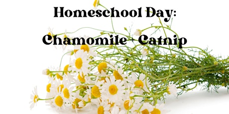 Homeschool Day: Chamomile + Catnip primary image
