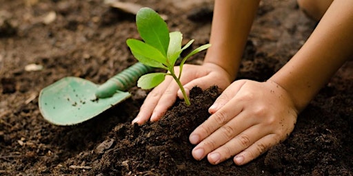 Immagine principale di Kids Autumn Green Thumbs Gardening Club (7 - 12 years) 