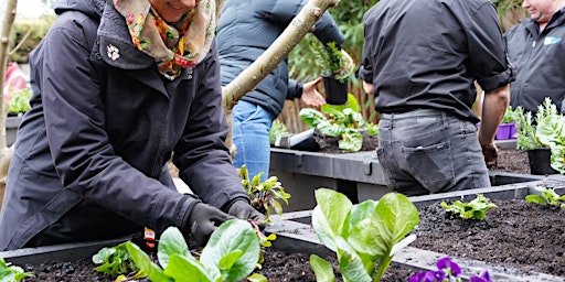 Imagen principal de Regenerative Urban farming