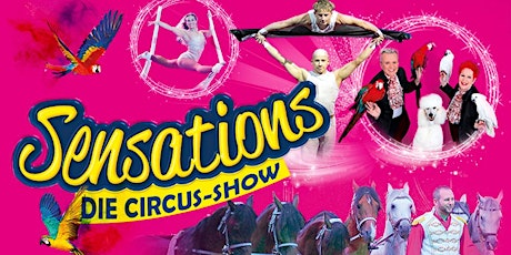Hauptbild für SENSATIONS - Die Circus-Show - Familientage
