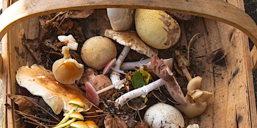 WIld mushroom forage and feast - Spring  primärbild