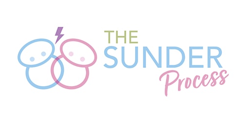 Imagen principal de THE SUNDER PROCESS