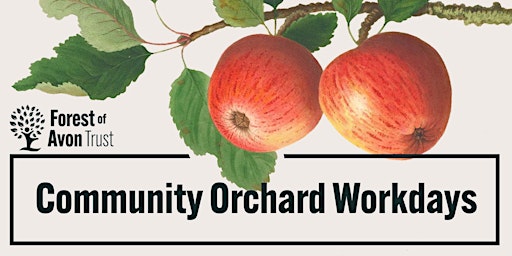 Imagem principal do evento Community Orchard Workday: SummerFruit Tree Pruning and Orchard Maintenance