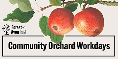 Imagem principal do evento Community Orchard Workday: Orchard Maintenance tasks