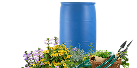 Rain Barrel Water Conservation Lunch & Learn Webinar primary image