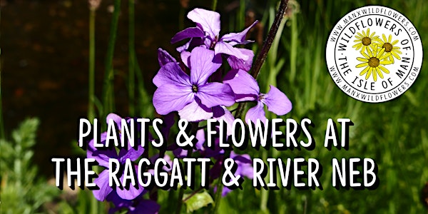 Plants & Flowers at The Raggatt & River Neb
