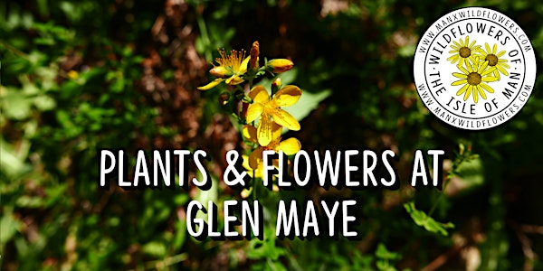 Plants & Flowers at Glen Maye