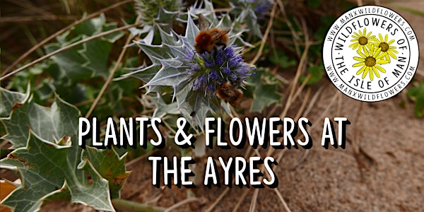 Plants & Flowers at The Ayres