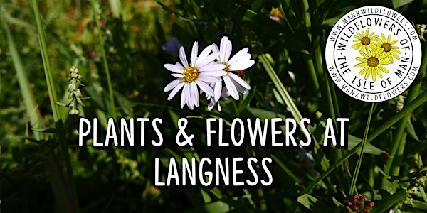 Plants & Flowers at Langness