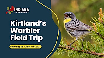 Hauptbild für Kirtland's Warbler Field Trip 2024
