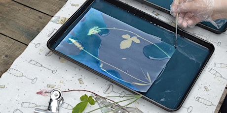 Introduction to Cyanotype Photography Printing primary image