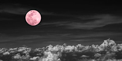 Imagem principal de Shamanic Sound Healing Journey & Mantra(Full Pink Moon)