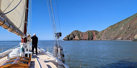 Immagine principale di Mother's Day 2024- Marine Wildlife Sail Under the Golden Gate Bridge 