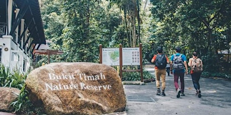 Walk at Bukit Timah Nature Reserve primary image