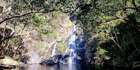 Women's Hartley Creek Falls Meet Up Hike // Saturday 4th May