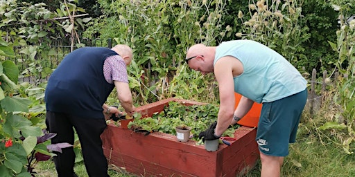 Hauptbild für Growing for Wellbeing Session