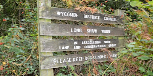 Image principale de Woodland Care Day @ Long Shaw Wood