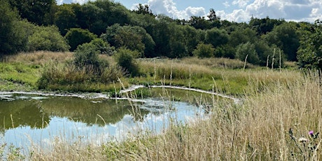 Imagem principal do evento Rewilding the River Rom - Building Life from Dead Hedges