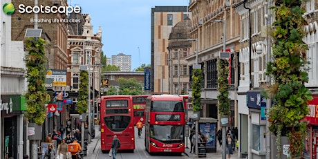 Creating Biodiversity Corridors Through Our Cities