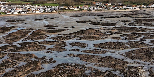 Hauptbild für Bimble at Pontac -  Intertidal Walk