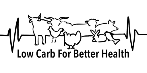 Primaire afbeelding van Low Carb for Better Health 2024 - "Never Give Up"