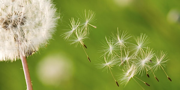 Understanding the Children's Mental Health System - Ada 8/20/2019