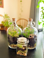 Primaire afbeelding van TERRARIUM - Create a Sustainable Ecosystem in a Bottle!